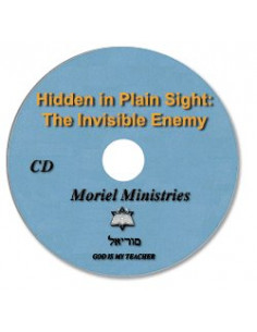 Hidden in Plain Sight: The...